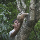 4只被解救的懒猴安家靖西邦亮国家级自然保护区