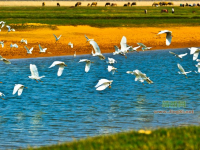 渠洋湖 靖西景点