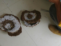 今晚的晚餐对城里人来说应该比较上档次的