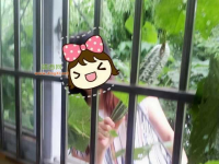 绿色无污染的农家瓜果，你值得拥有