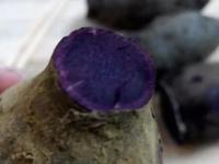 第一次和姐妹学习做红薯包，香香的，没煮就想吃