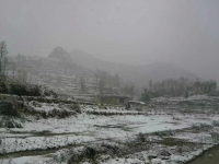 今天隆林下雪了，靖西冷吗