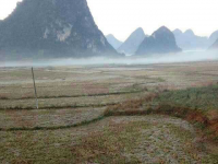 美丽冻人的霜冻阔景，只属于早起的人们，和雪景有的一拼