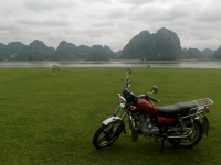 渠洋湖 靖西景点