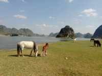 渠洋湖 靖西景点