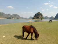 渠洋湖 靖西景点