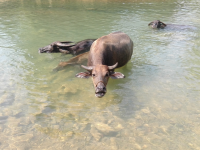 美丽的地方 岳圩
