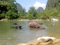 美丽的地方 岳圩