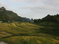 靖西土豪风景，仅路边就让你看爽到发癫