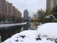 还是比较适合待在南方，哪怕是“火炉”上过日也好过冰天雪地