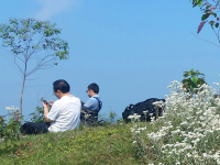 靖西同德乌鸦山-小小高原景迷人