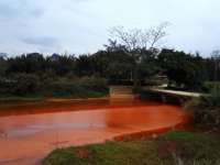 靖西红水河又干净了，鱼儿回来了——靖西新景区，红水河风光（下）。