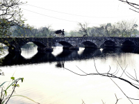 靖西美景 鹅泉古桥