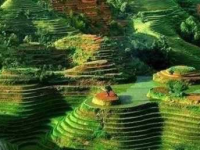 美景 巴泽 梯田 稻田