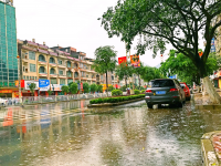 天刚蒙蒙亮的今天清晨，一场暴雨突如其来，雨点斜打在玻璃窗上..