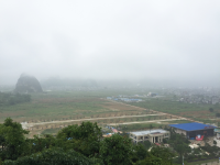 小城天空雾迷蒙，燕子翻飞细雨中。