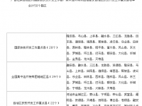 全国集中连片特殊困难地区县（29个）百色12个县区占了9个