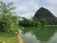 草青树绿不觉春已去，蝉鸣饶林方知夏已深。