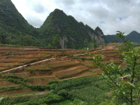 别的地方是退耕还林，这个地方却开荒造地。