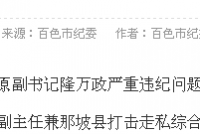 那坡县工商行政管理局原副局长邓李严重违纪被开除党籍、开除公职