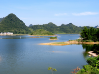 水波粼粼荷皎洁，朋怀湖边有美景。