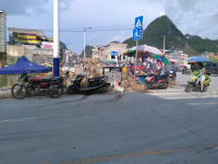 靖西“鸭霸街节”，大街小巷路边都是鸭的地盘