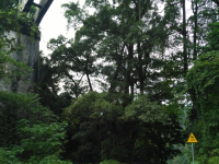 靖西 瀑布 三叠岭