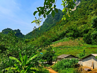 闲门向山路，林密啭鸟语。