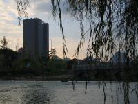 靖西中学 龙潭 公园