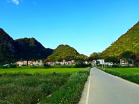 稻田 常富 田园