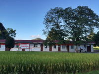 稻田 三友 田园