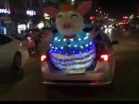 中秋 拉兔子 拼爹