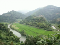 靖西乡村风景，美过画