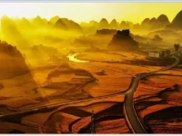 田园 秋天 稻谷 梯田