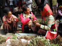 靖西非遗——端午药市