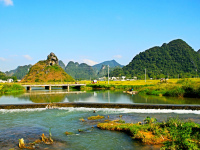 稻谷 秋天 田园