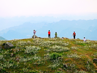 天降一座乌鸦山，高耸入云立长空。不怕浮云遮眼望，只缘身在最高.