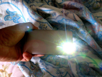 稻谷 秋天 田园