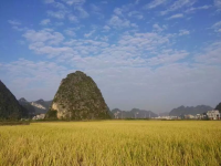 田园 秋天 稻谷