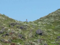 靖西旅游 乌鸦山