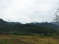 细雨漫天风生寒，山中树叶半青黄。今朝立冬天渐冷，他日雪里梅花.