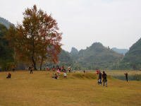 德保红枫森林公园：一年一度秋风劲，又见满山枫叶红。