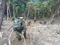 原来地雷这是么的凶险，靖西越南边镜的还残留有多少雷区？