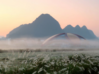 靖西 体育馆 绣球