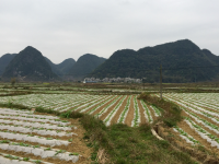 雨润门外千山绿，苗茁田野二月春。