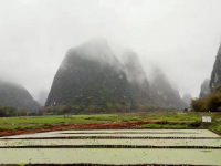 春分纤纤如絲纷纷雨，最是一年好春时。草青泥湿燕低飞，风和花艳