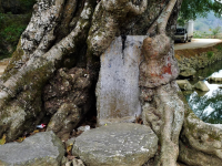 如果说你老了，那准错了。