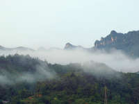 雨后小景