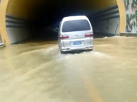 今日靖西连续降雨，高速路涨水，大鱼们跑到田间游荡