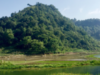 山村入仲夏，四野皆插秧。